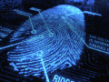 Canada’s largest online-only bank employs biometric security